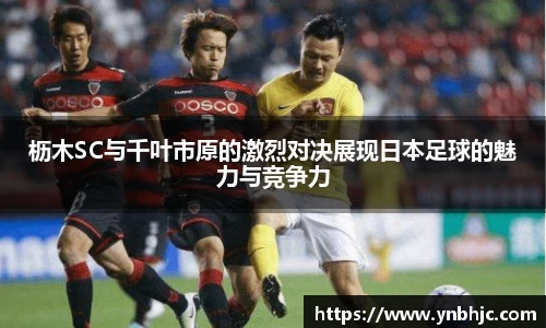 HB火博官方平台